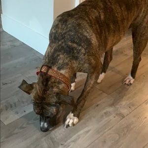 Meet your Posher, Robyn